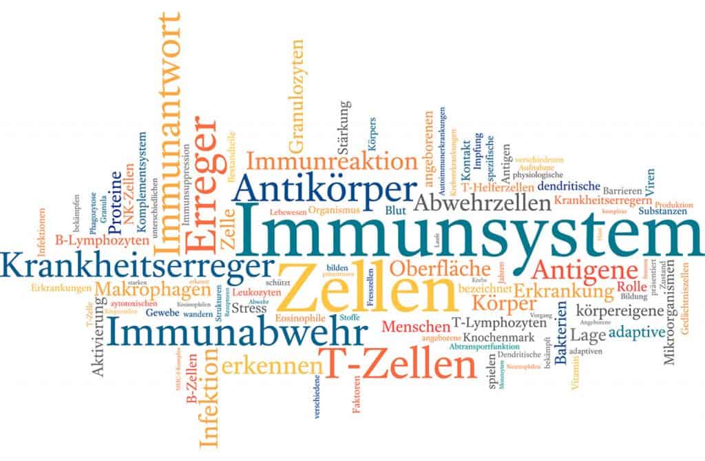 Säuglingsnahrung ohne Kuhmilchproteine kann Typ-1-Diabetes nicht verhindern